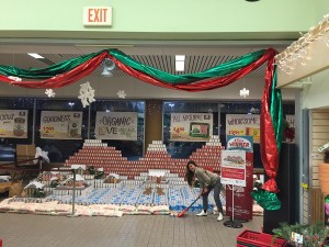 CWM-CANstruction