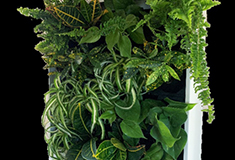 ADM Landscape introduces portable green walls to NYC offices
