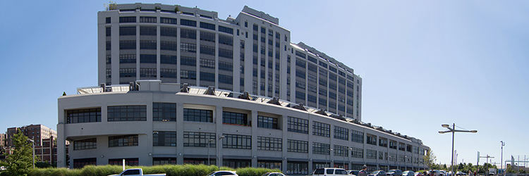 Condren and Danut of CPEX retail leasing team represent landlord in 13,000 s/f lease 