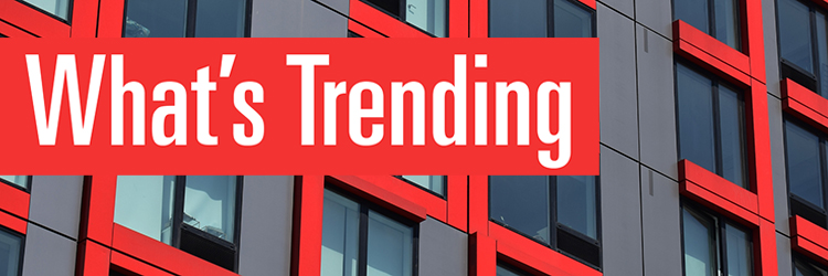 September Spotlight: What's Trending
