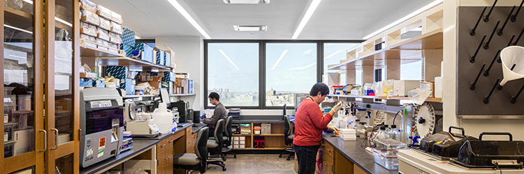 Company of the Month: AKF Group earns National Recognition Award for Columbia’s Aaron Diamond AIDS Research Center