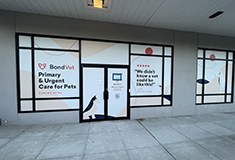 Eastman Cooke & Associates to complete 2,700 s/f renovation for BondVet