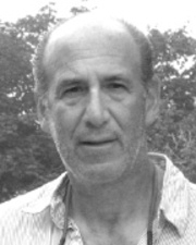 2016 Year in Review: Mark Stumer, Mojo Stumer Associates