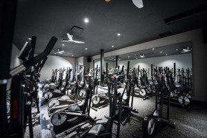 GoStride, 509 Boston Post Road - Port Chester, NY